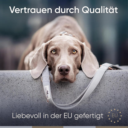 FREUDENTIER Hundehalsband Aus Veganem Leder - Weich, Komfortabel Und Robust - Inkl. Leinenbeutel - Liebevoll in Holland Gefertigt