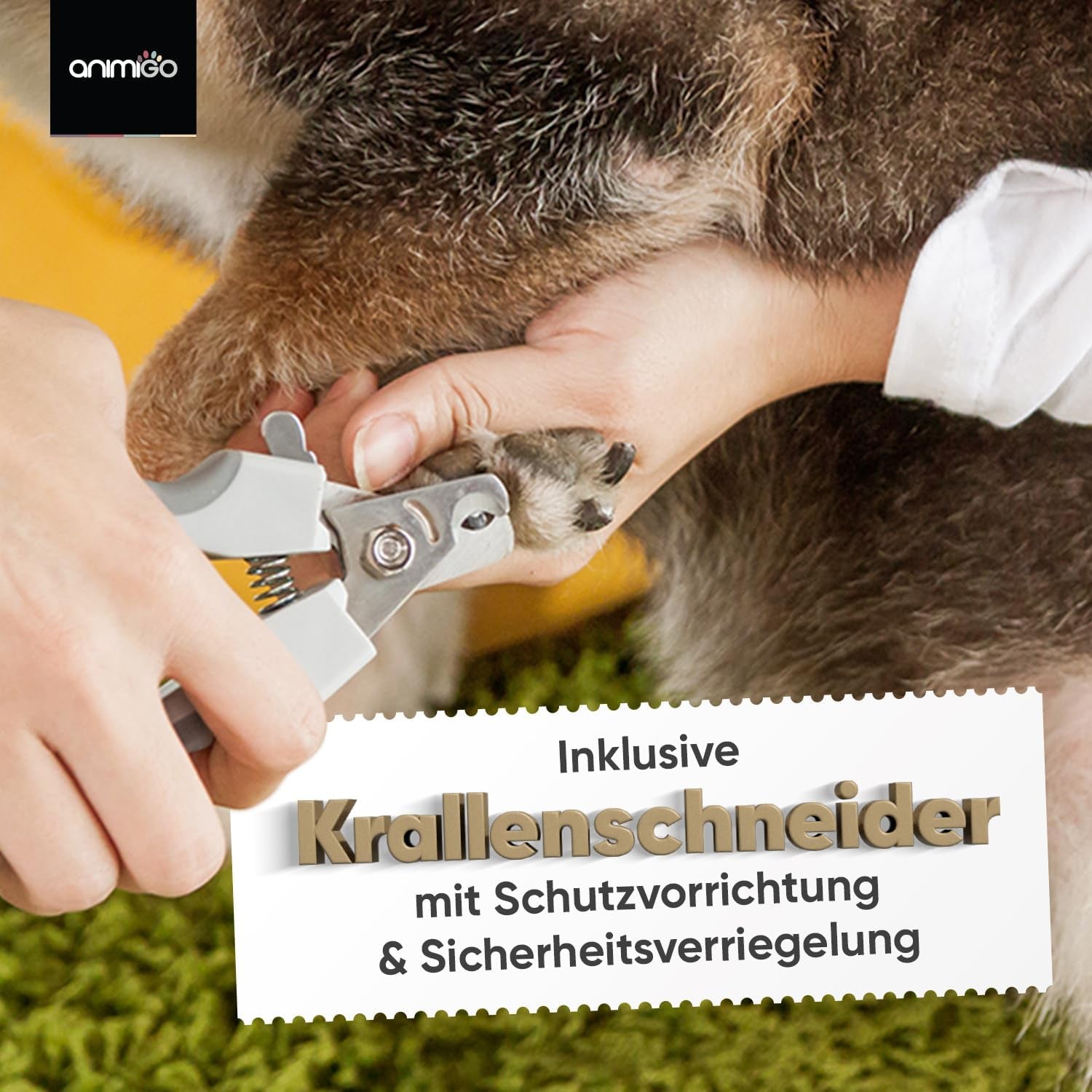 Animigo Krallenschleifer, Krallenschere Für Hunde & Katzen - Verschiedene Diamantkopf Größen - Sehr Leise - Motor Mit 2 Geschwindigkeiten & USB Anschluss - Für Haustiere Aller Krallengrößen