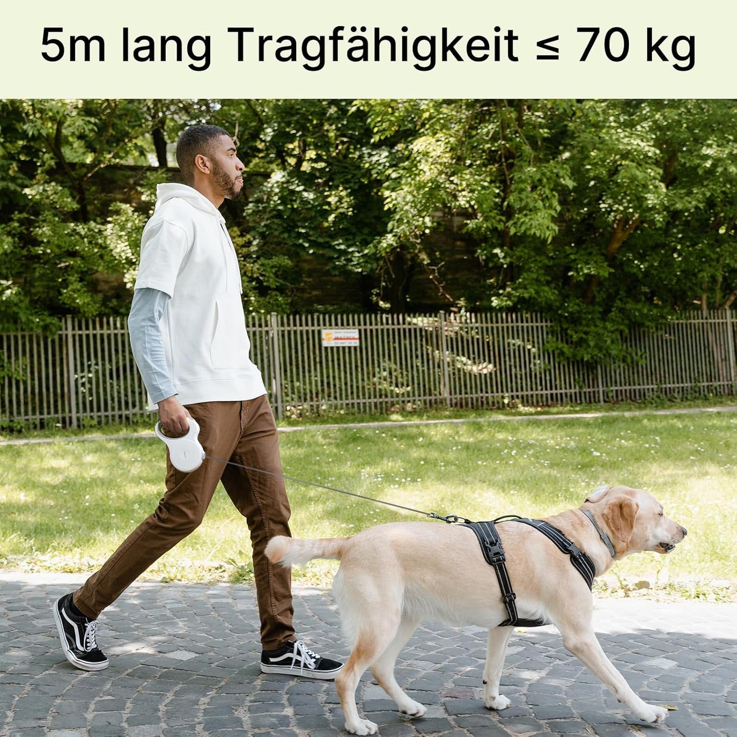 Hundeleine,5M Rollleine Einziehbare Leine Für Kleine Und Mittlere Hunde Schleppleine Bis 50 Kg