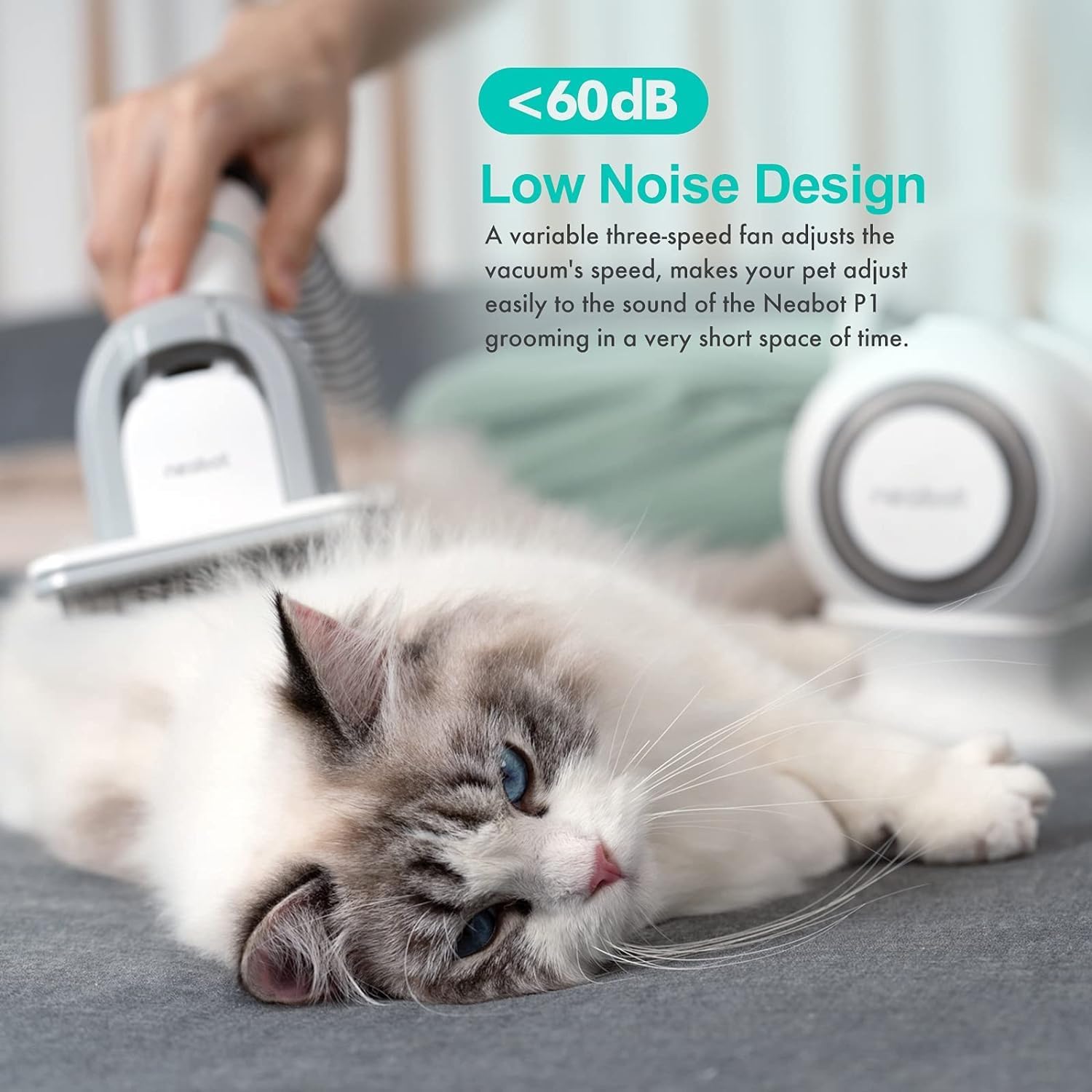 Neabot Neakasa P1 Pro Hundeschermaschine Mit Tierhaar Staubsauger 13000 Pa Haustierpflegeset, Leise Schermaschine Hund Katze Tierhaarschneidemaschine Tierhaarentferner, 5 Bewährten Pflegewerkzeugen