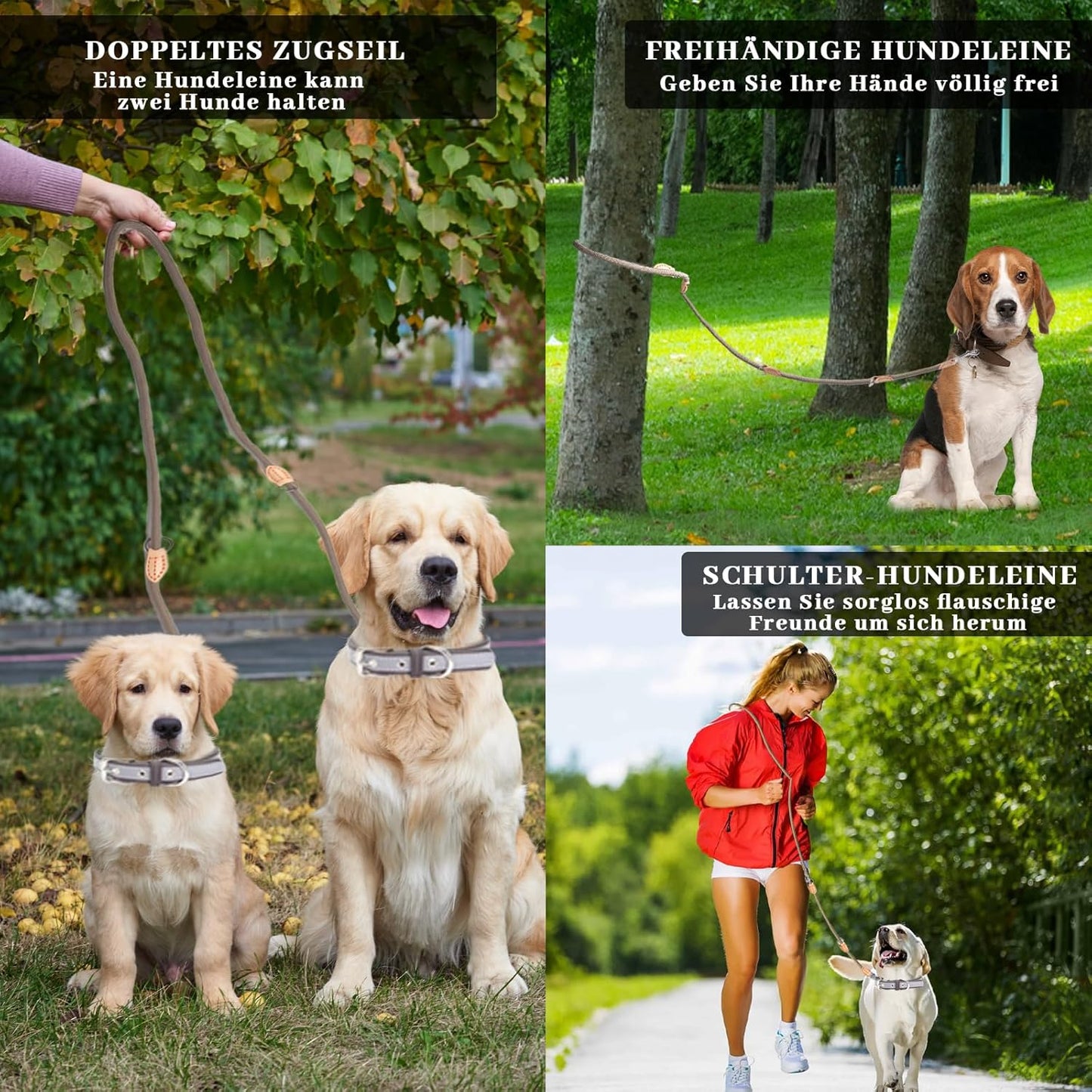 Hundeleine Für Mittelgroße & Große Hunde, Multifunktionsleine Führleine Für Hunde 2.1M Verstellbare Mit 2 Karabiner, Robuste Nylon Dog Leash, Schleppleine Doppelleine Für 2Hunde (Beige, 1Cm X 2.1M)