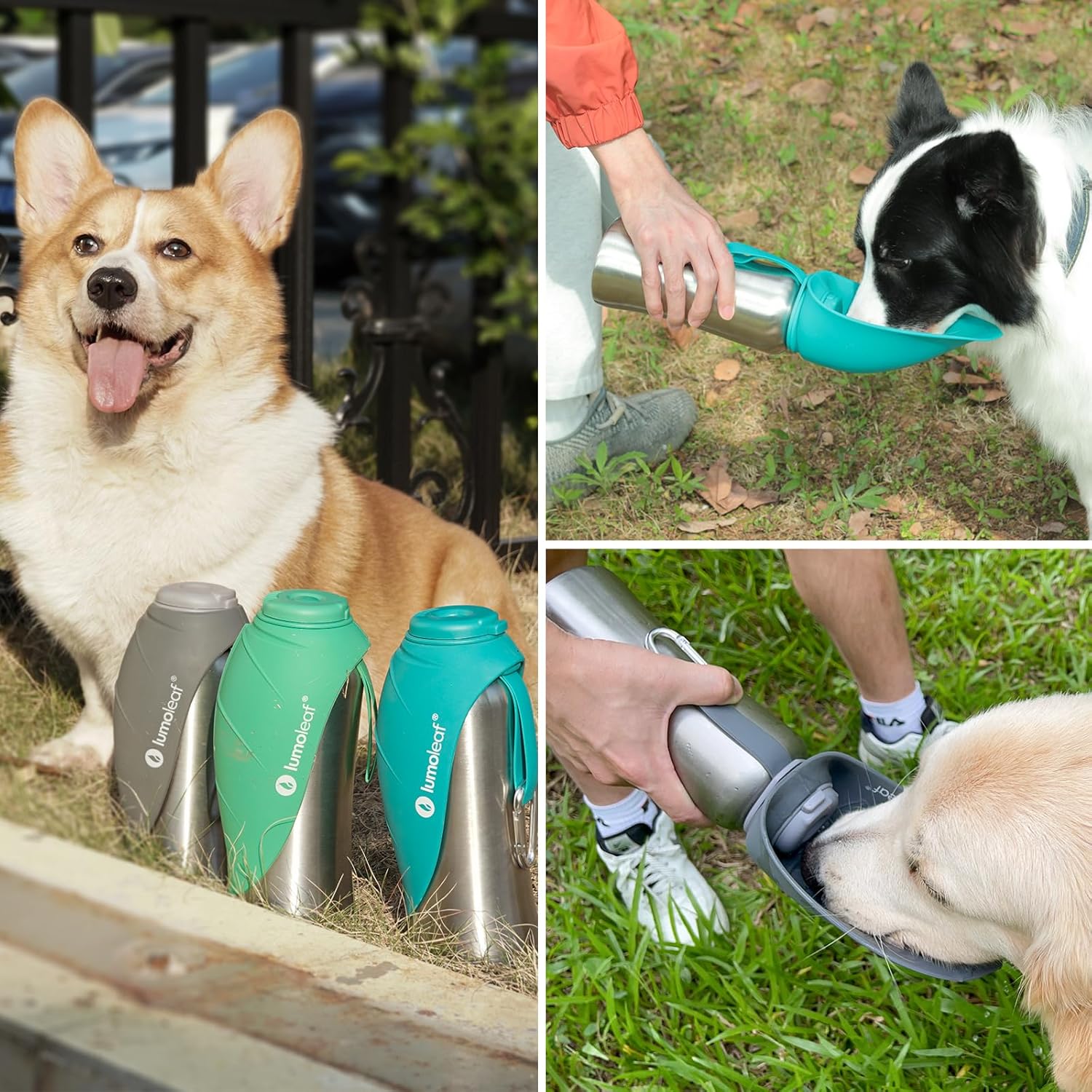 Lumoleaf Hundetrinkflasche Für Unterwegs, 800Ml Edelstahl Trinkflasche Hund, Tragbare Haustier Wasserflasche, Hunde Wasserspender Reise Zubehör Für Wandern Und Campen (Grau)