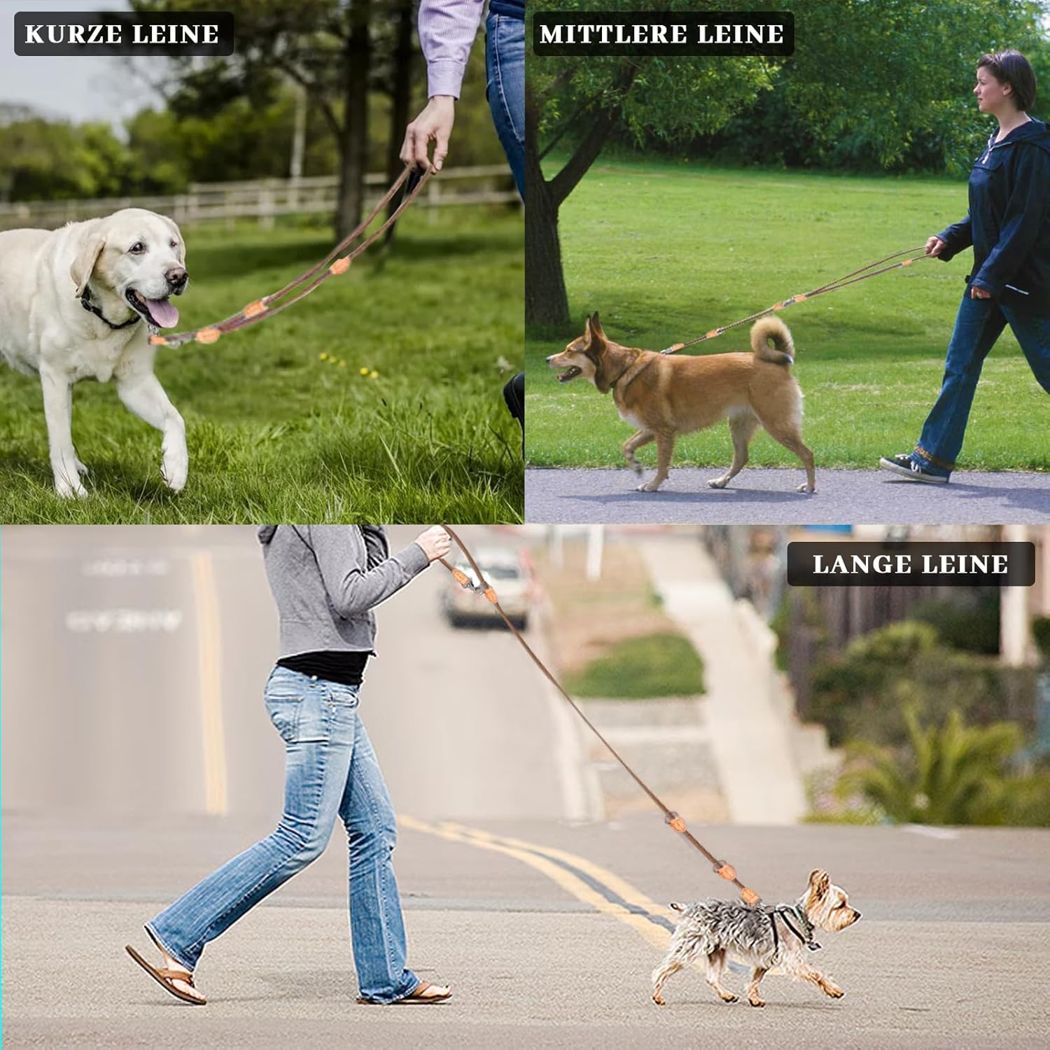 Hundeleine Für Mittelgroße & Große Hunde, Multifunktionsleine Führleine Für Hunde 2.1M Verstellbare Mit 2 Karabiner, Robuste Nylon Dog Leash, Schleppleine Doppelleine Für 2Hunde (Beige, 1Cm X 2.1M)