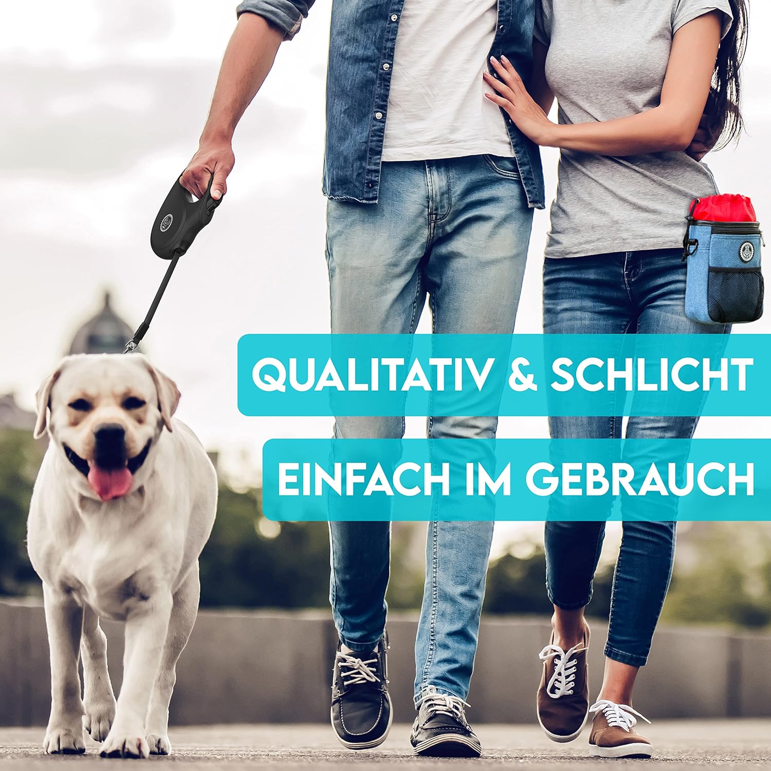 HUND IST KÖNIG Rollleine Hundeleine 8M Für Kleine & Große Hunde | Hochwertige Hundeleine Ausziehbar Mit Bequemen Griff | Robuste Ausziehleine | Bis 50Kg