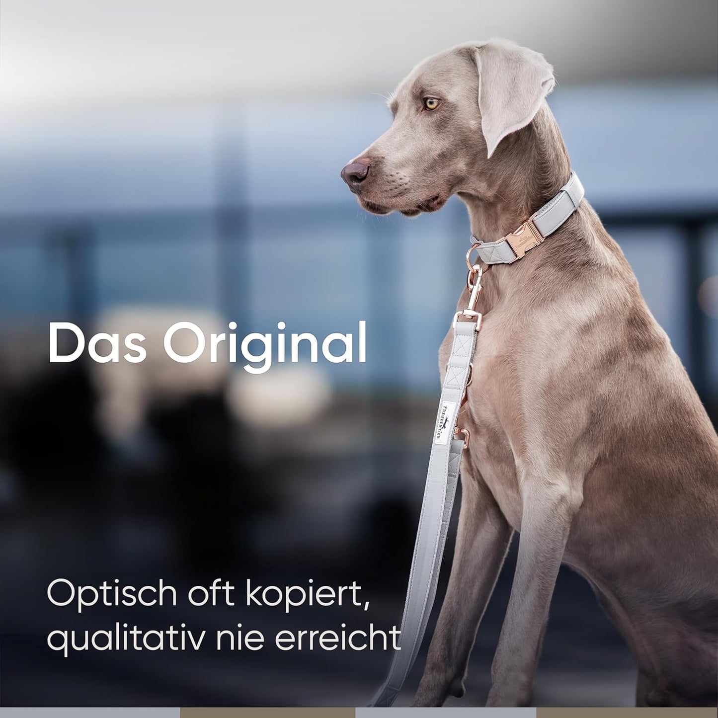 FREUDENTIER Hundehalsband Aus Veganem Leder - Weich, Komfortabel Und Robust - Inkl. Leinenbeutel - Liebevoll in Holland Gefertigt