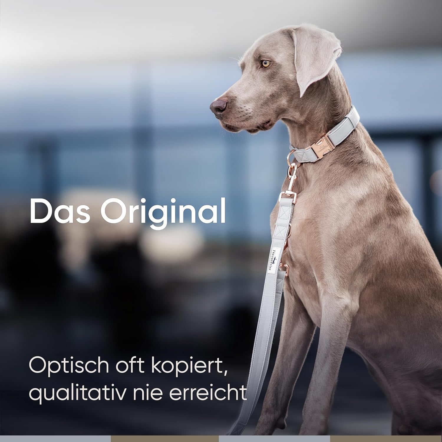 FREUDENTIER Hundehalsband Aus Veganem Leder - Weich, Komfortabel Und Robust - Inkl. Leinenbeutel - Liebevoll in Holland Gefertigt