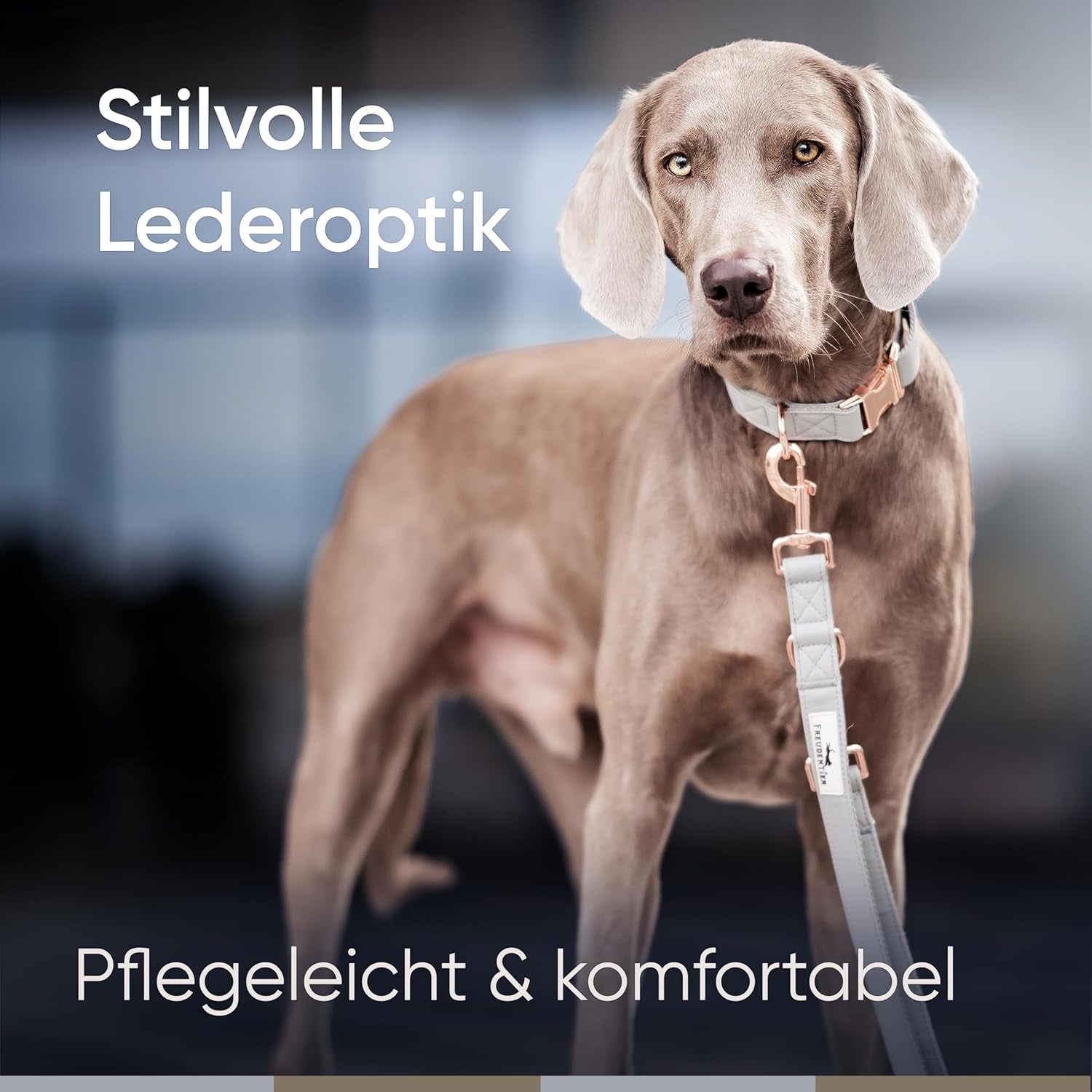 FREUDENTIER Hundehalsband Aus Veganem Leder - Weich, Komfortabel Und Robust - Inkl. Leinenbeutel - Liebevoll in Holland Gefertigt