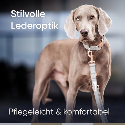 FREUDENTIER Hundehalsband Aus Veganem Leder - Weich, Komfortabel Und Robust - Inkl. Leinenbeutel - Liebevoll in Holland Gefertigt